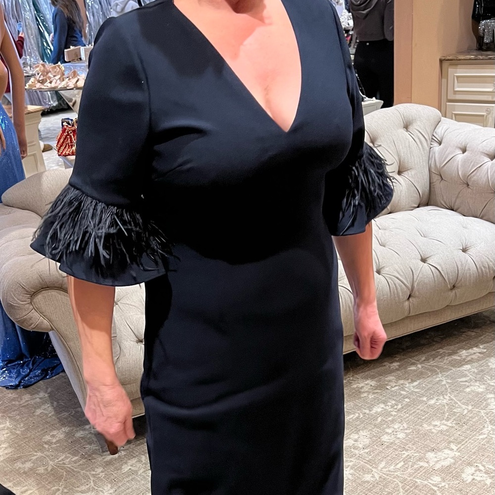 Adrianna Pappell formal gown